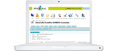 ejemplos gestion proyectos online